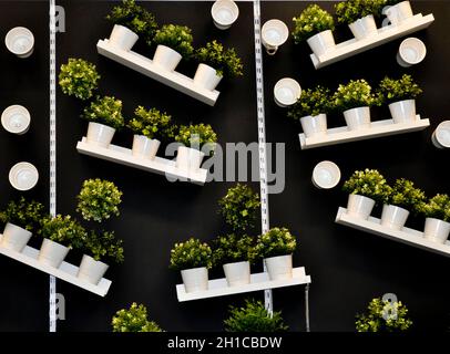 Une exposition murale montrant des plantes en plastique dans des pots blancs sur des étagères contre un mur noir, IKEA, Sheffield, Angleterre Banque D'Images