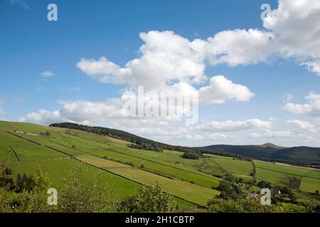 Vue sur Shutlingsloe et la forêt de Macclesfield depuis les pentes du nez de Tegan's, au loin du Cheshire de Macclesfield, en Angleterre Banque D'Images