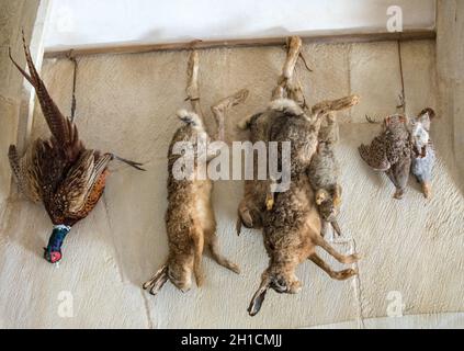 Castelnaud, Dordogne, France - 7 septembre 2018 : les trophées de chasse, accroché sur le mur de cuisine dans le château de Castelnaud, forteresse médiévale à Castelnaud-l Banque D'Images