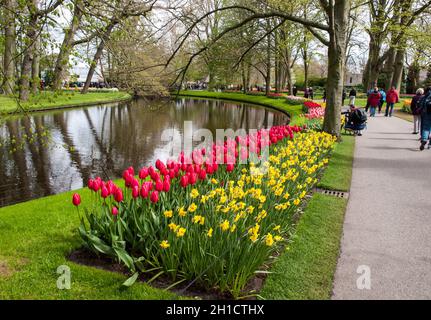 Lisse, Pays-Bas - 19 Avril 2017 : Les Visiteurs du jardin de Keukenhof à Lisse, Hollande, Pays-Bas. Banque D'Images