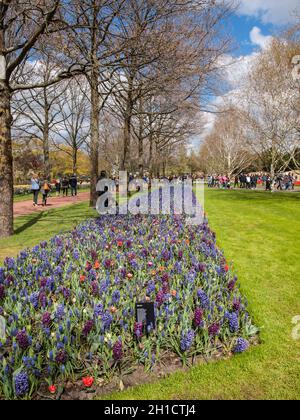 Lisse, Pays-Bas - 19 Avril 2017 : Les Visiteurs du jardin de Keukenhof à Lisse, Hollande, Pays-Bas. Banque D'Images