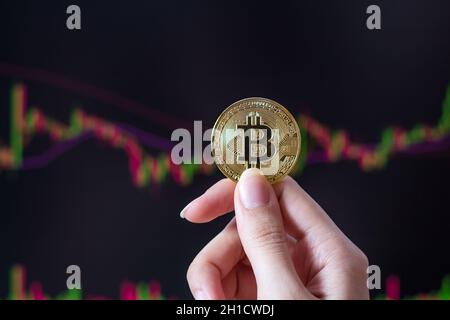 Une fille tient une pièce Bitcoin assis devant un ordinateur portable analysant le tableau des prix d'un commerçant sur l'échange ou Forex. Bitcoin en main contre le backgr Banque D'Images