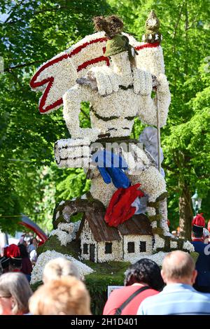 Im Ausseerland – Salzkammergut blüht die weiße sternblütige Narzisse, auch Stern-Narzisse genannt, je nach Höhenlage von Mitte Mai bis Mitte Juni. Jed Banque D'Images