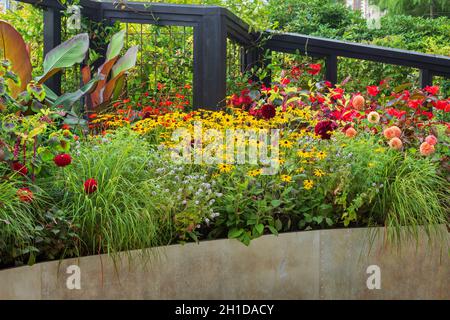 Jardin RHS COP26.Plantation de couleurs chaudes dans un très grand récipient, conçu pour montrer aux visiteurs une variété de plantes qui peuvent être plantées dans un jardin ou e Banque D'Images