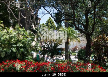 La municipalité de Jardim à l'avenida Arriaga dans le centre ville de Funchal sur l'île de Madère du Portugal. Portugal, Madère, avril 2018 Banque D'Images