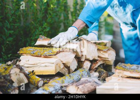 Bois de chauffage, la préparation d'empilage de l'homme pour le chauffage de la maison. Bois de rassemblement pour l'hiver ou de joie. L'homme détient le bois dans les mains . Banque D'Images