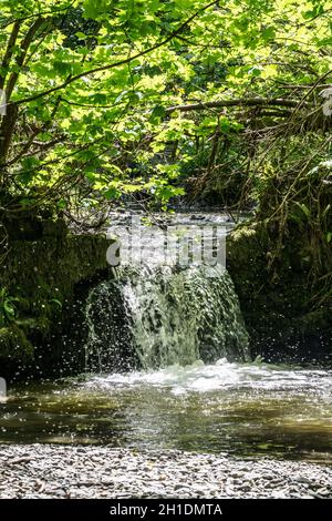 Chute d'eau avec mouches médianes Banque D'Images