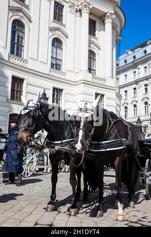 Vienne, AUTRICHE - Avril 2018 : voitures à cheval devant le palais impérial de Hofburg à Vienne Banque D'Images