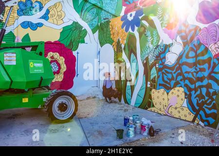 Miami, États-Unis d'Amérique - 30 novembre 2019 : l'artiste travaillant à Art Wynwood à Miami, États-Unis.Wynwood est un quartier de Miami en Floride qui Banque D'Images