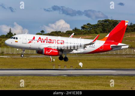 Medellin, Colombie – 26 janvier 2019 : avion Avianca Airbus A 319 à l'aéroport Medellin Rionegra (MDE) en Colombie. Airbus est un manu européen d'avions Banque D'Images