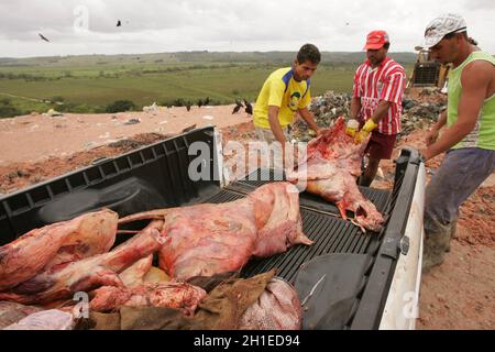 Eunapolis, bahia / brésil - setembro 10, 2010: Les inspecteurs de surveillance sanitaire jeter la viande de bolline de l'abattage clandestin et sans la consumptio Banque D'Images