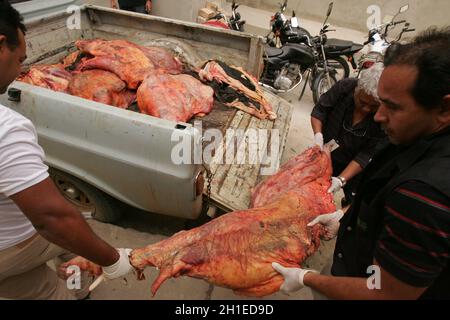 Eunapolis, bahia / brésil - setembro 10, 2010: Les inspecteurs de surveillance sanitaire jeter la viande de bolline de l'abattage clandestin et sans la consumptio Banque D'Images