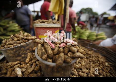 salvador, bahia / brésil - 17 juin 2019: Arachides en vente à Feira de Sao Joaquim dans la ville de salvador. *** Légende locale *** Banque D'Images