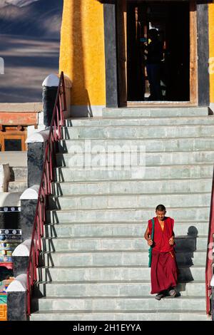 THIKSEY, INDE - 13 SEPTEMBRE 2012 : moine bouddhiste tibétain à Thikse (Thiksey) gompa (monastère), Ladakh, Inde Banque D'Images