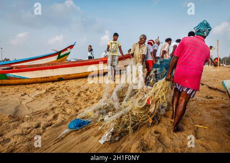 CHENNAI, INDE - 10 FÉVRIER 2013 : pêcheurs indiens traînant le filet de pêche avec leurs prises de la mer sur Marina Beach, Chennai, Tamil Nadu Banque D'Images