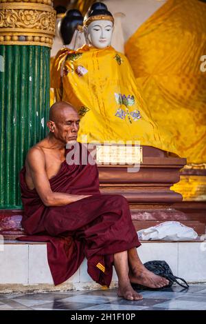 YANGON, MYANMAR - 3 JANVIER 2014 : moine bouddhiste ascétique méditant dans la pagode Shwedagon Paya Banque D'Images