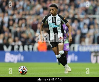 Newcastle, Royaume-Uni.17 octobre 2021.Joe Willock de Newcastle United lors du match de la Premier League à St. James's Park, Newcastle.Le crédit photo doit être lu: Simon Bellis/Sportimage crédit: Sportimage/Alay Live News Banque D'Images