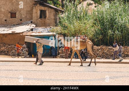 AXUM, ETHIOPIE, 27 avril 2019: Homme avec chameau au centre d'Aksum transportant des marchandises le 27 avril 2019 à Aksum, Ethiopie Afrique Banque D'Images