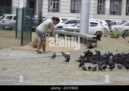 salvador, bahia / brésil - 25 février 2019 : les pigeons sont vus sur la place Campo da Polvora à Salvador . *** Légende locale *** . Banque D'Images