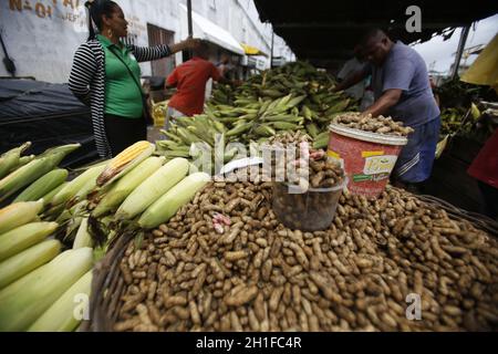 salvador, bahia / brésil - 17 juin 2019: Arachides en vente à Feira de Sao Joaquim dans la ville de salvador. *** Légende locale *** Banque D'Images