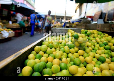 salvador, bahia / brésil - 27 décembre 2016: Citrons à vendre à la foire japonaise dans le quartier de Liberdade à Salvador. *** Légende locale *** . Banque D'Images