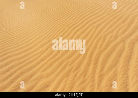 Dunes de sable doré background Banque D'Images