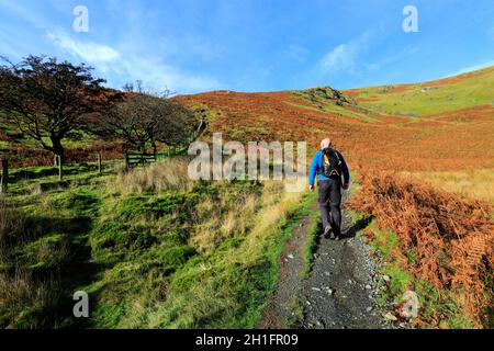 Walker on Scales Fell, village Scales, Lake District National Park, Cumbria, Angleterre Banque D'Images