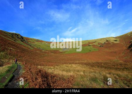 Walker sur White Horse Bent est tombé près du village de Scales, Lake District National Park, Cumbria, Angleterre Banque D'Images