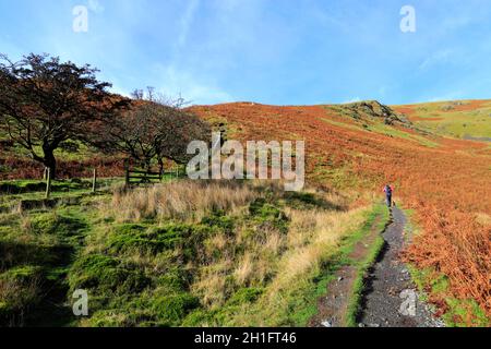 Walker on Scales Fell, village Scales, Lake District National Park, Cumbria, Angleterre Banque D'Images