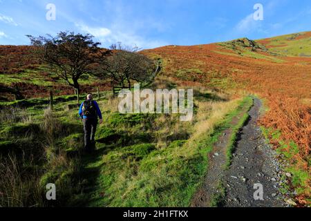 Walker on Scales Fell, village Scales, Lake District National Park, Cumbria, Angleterre Banque D'Images