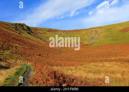 Walker sur White Horse Bent est tombé près du village de Scales, Lake District National Park, Cumbria, Angleterre Banque D'Images