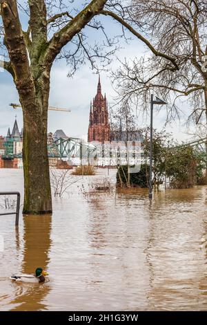 FRANCFORT-JANVIER 15 2011 : inondation à Francfort-sur-le-main due à une eau extrêmement élevée dans la rivière main. Banque D'Images