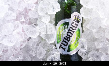 POZNAN, POL - 10 JUIN 2020 : bouteille de bière Tuborg, produite par une société de brassage danoise fondée en 1873 près de Copenhague Banque D'Images