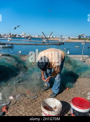 Pêcheur dans le port de retirer des crabes et des poissons de son filet, Ferragudo en Algarve, Portugal Banque D'Images