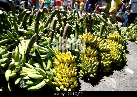 salvador, bahia / brésil - 14 septembre 2014: Les bananes sont vues en vente sur un marché ouvert dans la ville de Salvador. Banque D'Images