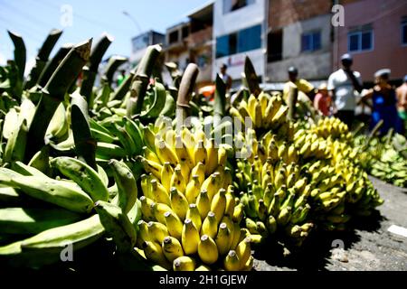 salvador, bahia / brésil - 14 septembre 2014: Les bananes sont vues en vente sur un marché ouvert dans la ville de Salvador. Banque D'Images