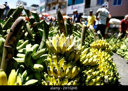 salvador, bahia / brésil - 14 septembre 2014: Les bananes sont vues en vente sur un marché ouvert dans la ville de Salvador. Banque D'Images