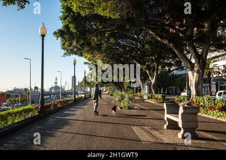 Santa Cruz de Tenerife, Canaries, Espagne - Décembre 11, 2016 : les gens à marcher avec un chien et courir le long de la promenade de Santa Cruz de Tenerife, Ca Banque D'Images