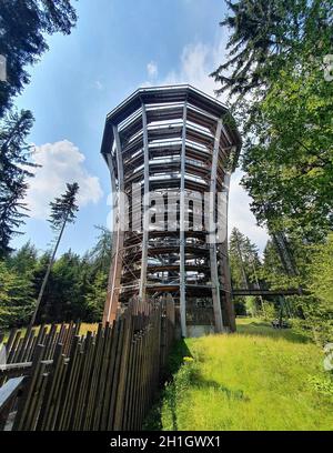 JANSKE LAZNE, RÉPUBLIQUE TCHÈQUE - 09 AOÛT 2020 : tour d'observation du sentier de randonnée de Krkonose Tree Top Walk.Ce sentier dans les sommets des arbres est situé dans les forêts o Banque D'Images