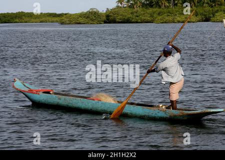 Camamu, bahia / brésil - 10 janvier 2012: Le pêcheur est vu pagayer son canoë à Baia de Camamu, dans la municipalité de Camamu, dans le sud de Bahia. Banque D'Images