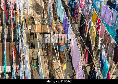 Mumbai, Inde - 22 novembre 2019 : un homme raccroche sa blanchisserie pour sécher dans le quartier de la blanchisserie de Dhobi Ghat, une laverie en plein air bien connue dans le centre-ville, Mhumb Banque D'Images