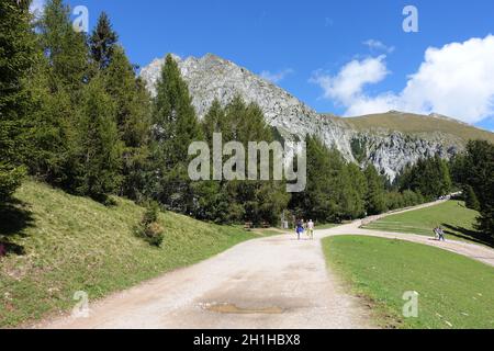 Ifinger, Berg in den Sarntaler Alpen in Südtirol, Meran, Italien Banque D'Images