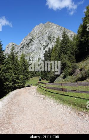 Ifinger, Berg in den Sarntaler Alpen in Südtirol, Meran, Italien Banque D'Images