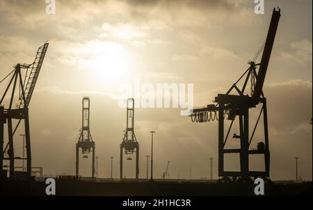 les grues du port de hambourg ressemblent à des girafes, en allemagne Banque D'Images