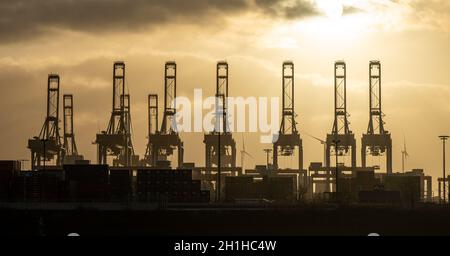 les grues du port de hambourg ressemblent à des girafes, en allemagne Banque D'Images