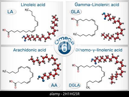 Oméga-6, acides gras polyinsaturés.Acide linoléique (LA), acide gamma-linolénique (GLA), acide arachidonique (AA, ARA), acide dihomo-gamma-linolénique (DGLA). Illustration de Vecteur