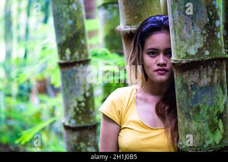 Belle femme javanaise debout dans une forêt de bambou. Banque D'Images