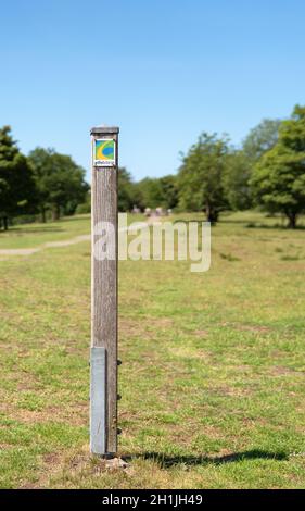 SCHALKENMEHREN, ALLEMAGNE - 23 JUIN 2020: Sentier de randonnée longue distance Eifelsteig avec l'accent sur le typique waymark le 23 juin 2020 en Allemagne Banque D'Images