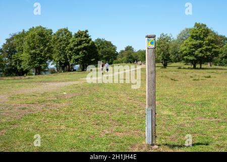 SCHALKENMEHREN, ALLEMAGNE - 23 JUIN 2020: Sentier de randonnée longue distance Eifelsteig avec l'accent sur le typique waymark le 23 juin 2020 en Allemagne Banque D'Images
