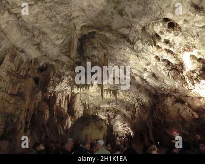 Des caractéristiques karstiques pittoresques sont illuminées dans la grotte, la grotte de Postojna ou Popojnska jama, Slovénie, Europe Banque D'Images